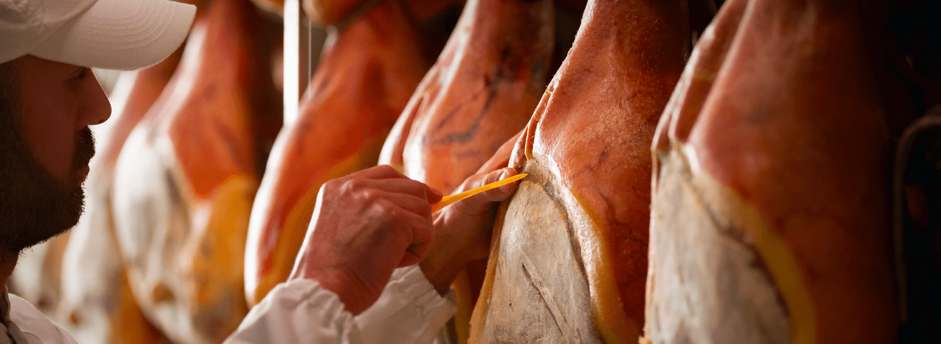 Background LeNostreEccellenze 1